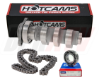 02-06 CRF450R CRF 450R X Stage 3 Hotcams Cam SKF Bearing & Hot Cams Timing Chain For Cheap