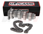 02-06 CRF450R CRF 450R 450X Stage 3 Hotcam Hot Cam Hotcams HOTCAMS Timing Chain For Discount