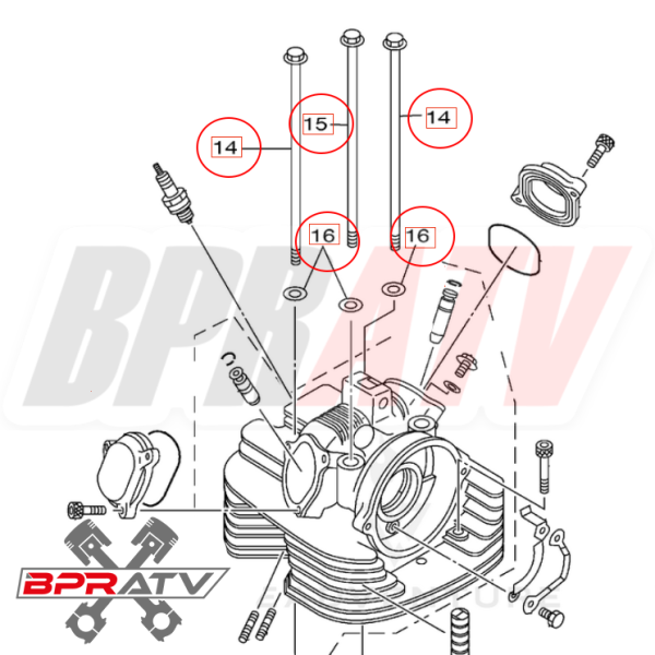 Raptor Warrior 350 Cylinder Head Stud Bolts TITANIUM Studs Nuts HD Bolt Kit Hot on Sale