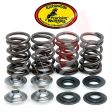 08+ RMZ450 RMZ 450 Kibblewhite Valve Springs Stainless Steel Valves Spring Kit Sale