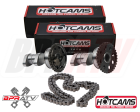 03-09 Yamaha YZ450F YZ 450F Stage 2 Two Hotcam Hot Cams & HOTCAMS TIMING CHAIN Sale