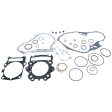 Raptor 700 Complete Gasket Seal Kit Vertex Winderosa Gaskets & WATER PUMP SEAL For Sale